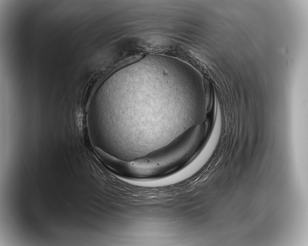 X0000088691108200705311151