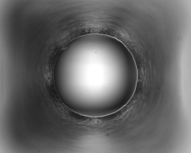 X0000088691109200705311151