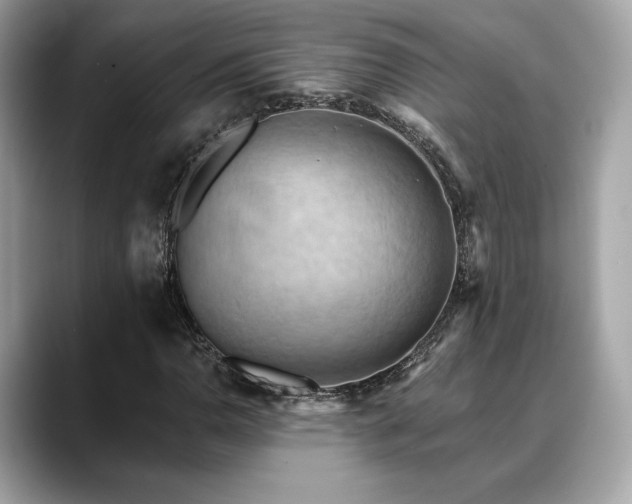 X0000088691110200705311151