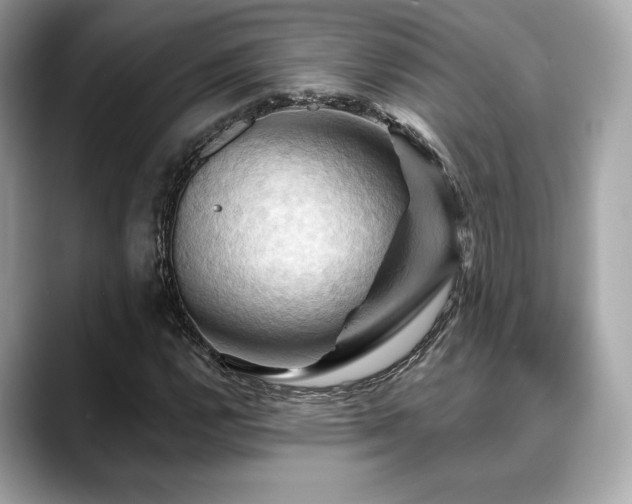 X0000088691112200705311151