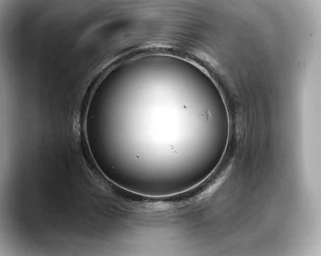 X0000088691113200705311151