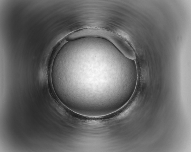 X0000088691114200705311151