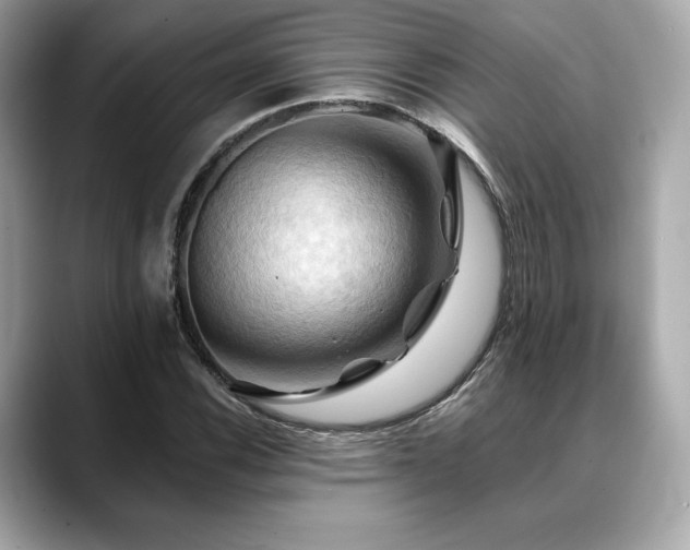 X0000088691116200705311151