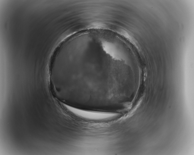 X0000088691117200705311151