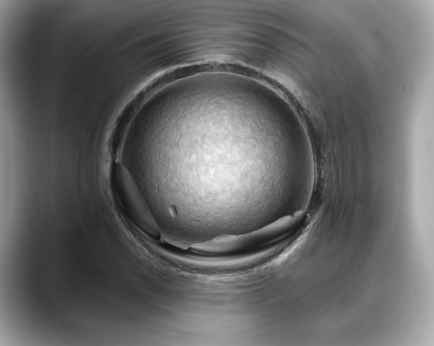 X0000088691118200705311151