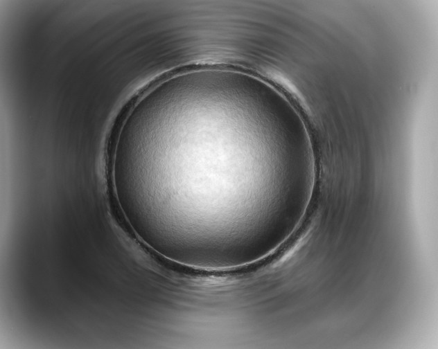 X0000088691122200705311151