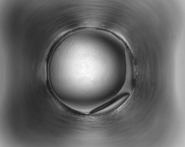 X0000088691123200705311151