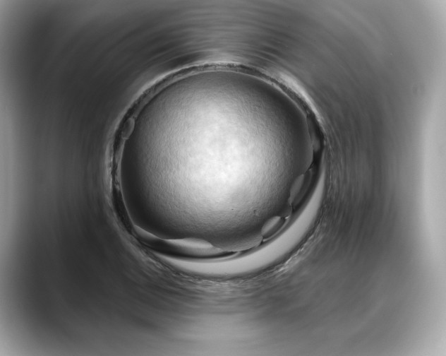 X0000088691124200705311151