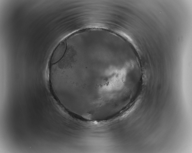 X0000088691125200705311151