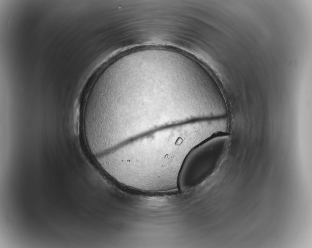 X0000088691126200705311151