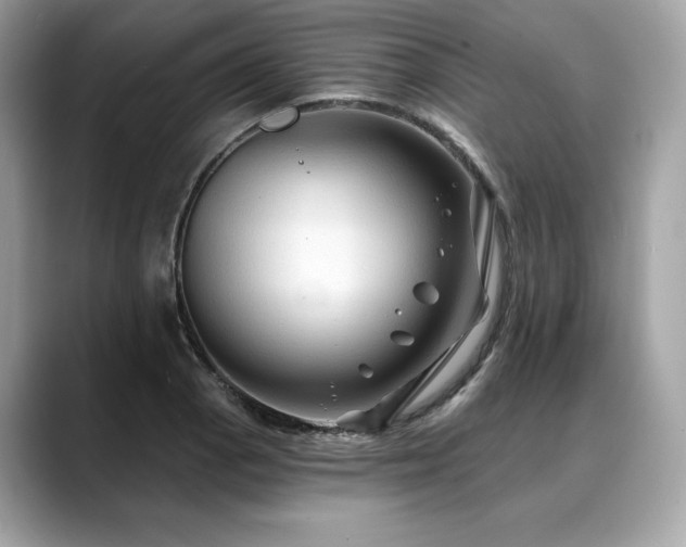 X0000088691129200705311151