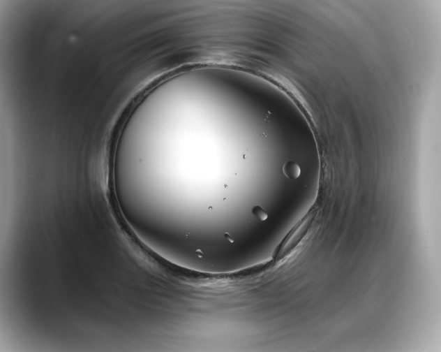 X0000088691131200705311151