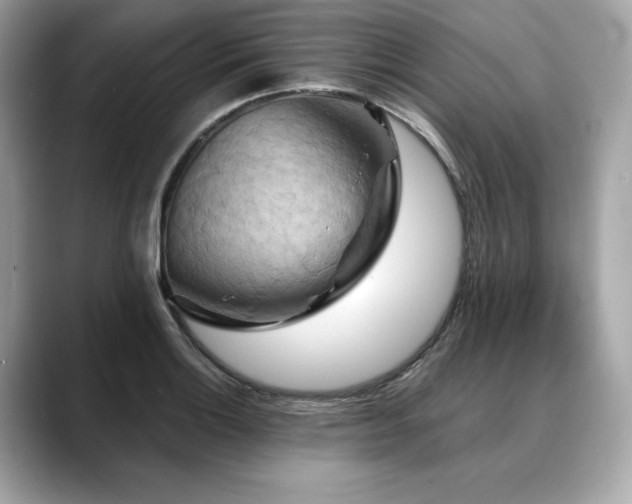 X0000088691132200705311152