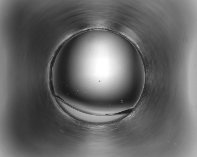 X0000088691135200705311152