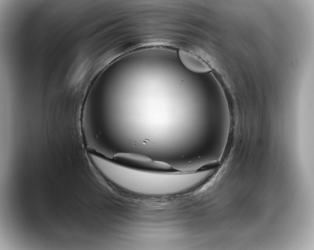 X0000088691137200705311152