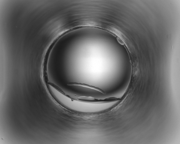 X0000088691139200705311152