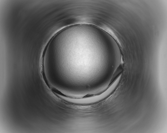 X0000088691140200705311152