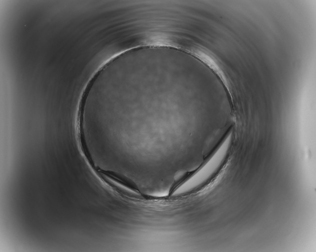 X0000088691141200705311152