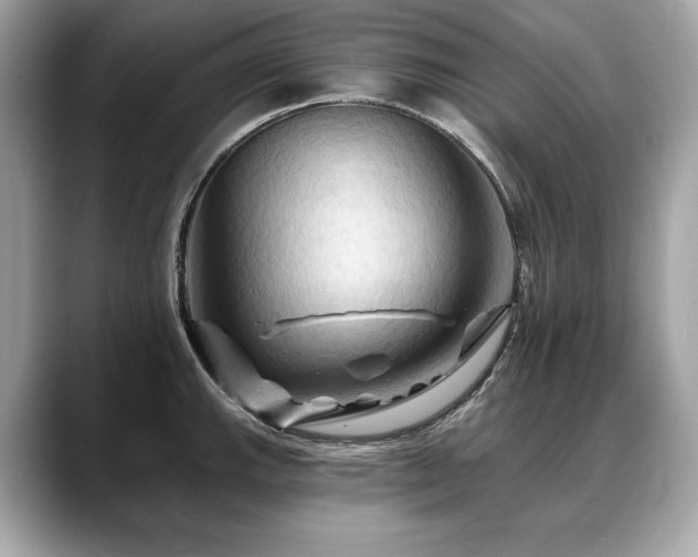 X0000088691143200705311152