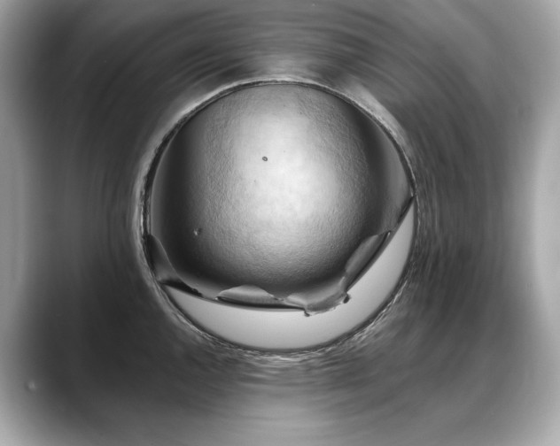 X0000088691144200705311152