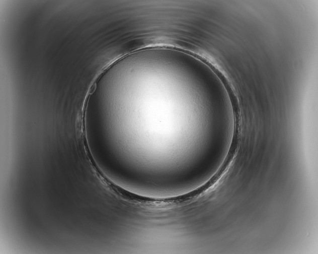 X0000088691145200705311152