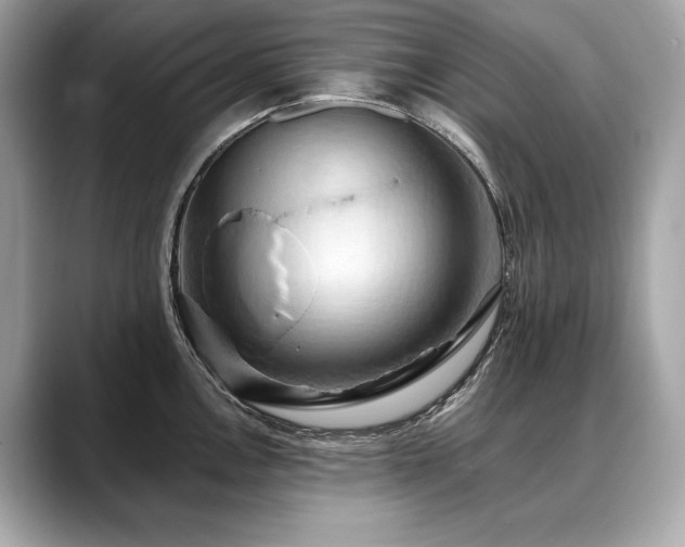 X0000088691146200705311152