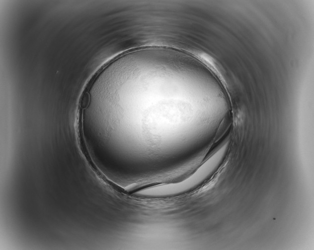 X0000088691149200705311152