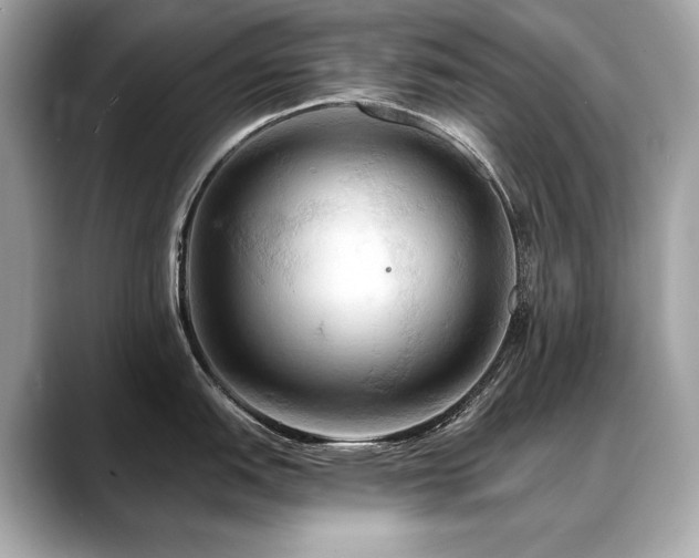 X0000088691151200705311152