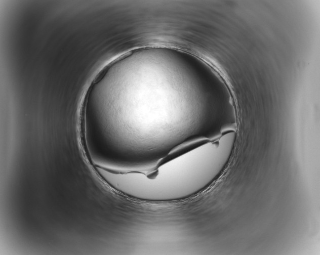 X0000088691152200705311152