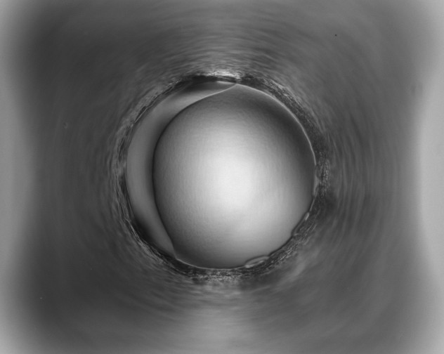 X0000088691153200705311151