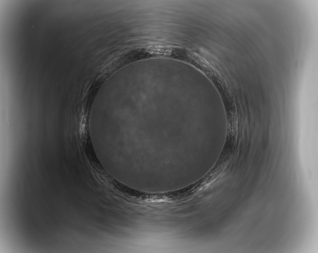 X0000088691154200705311151