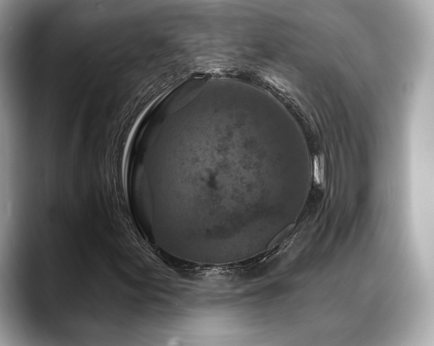 X0000088691155200705311151