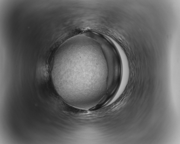 X0000088691156200705311151