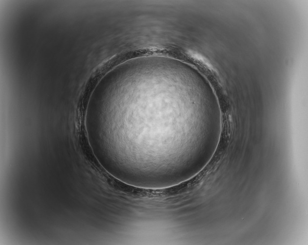 X0000088691158200705311151