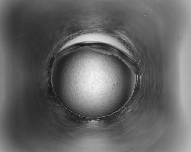 X0000088691160200705311151