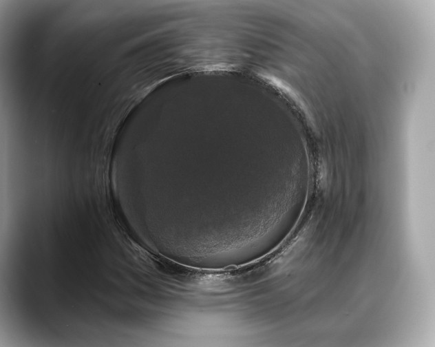 X0000088691161200705311151