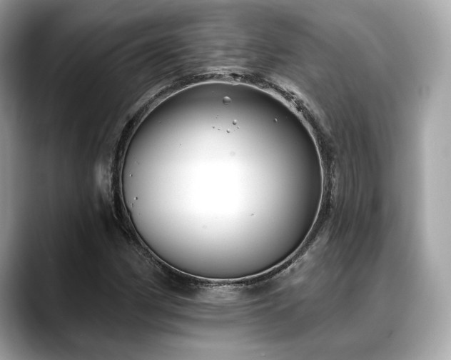 X0000088691162200705311151
