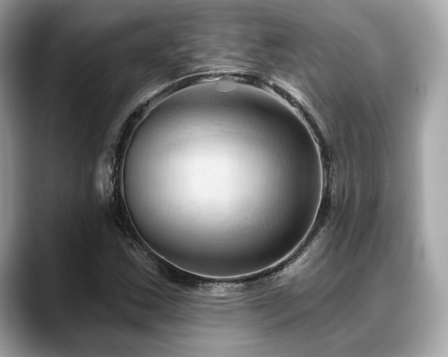 X0000088691163200705311151