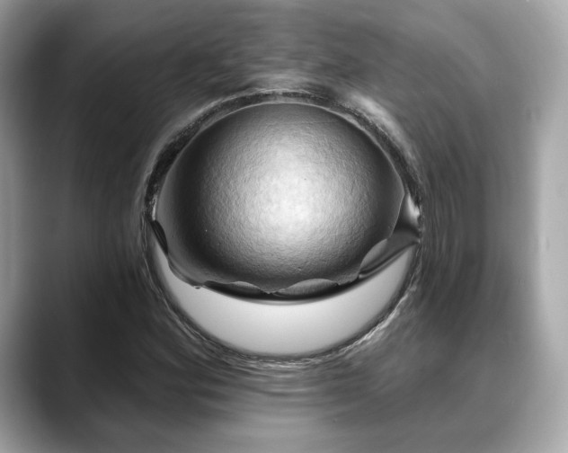 X0000088691164200705311151