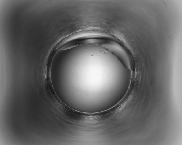 X0000088691165200705311151