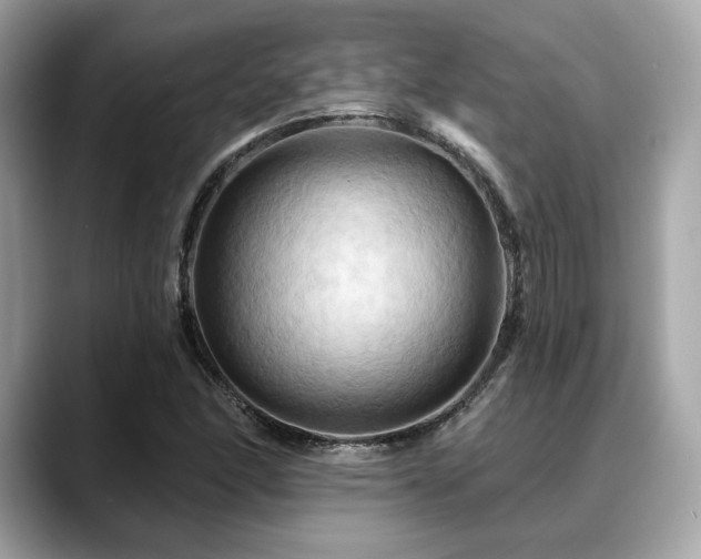 X0000088691166200705311151