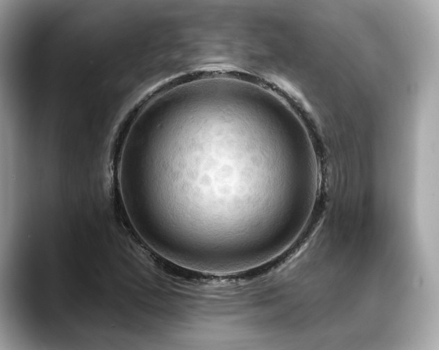X0000088691167200705311151