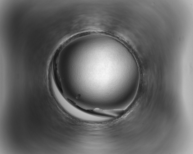 X0000088691168200705311151