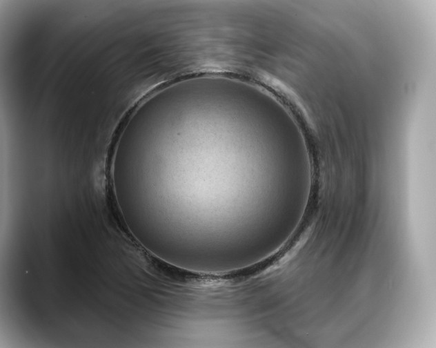 X0000088691170200705311151