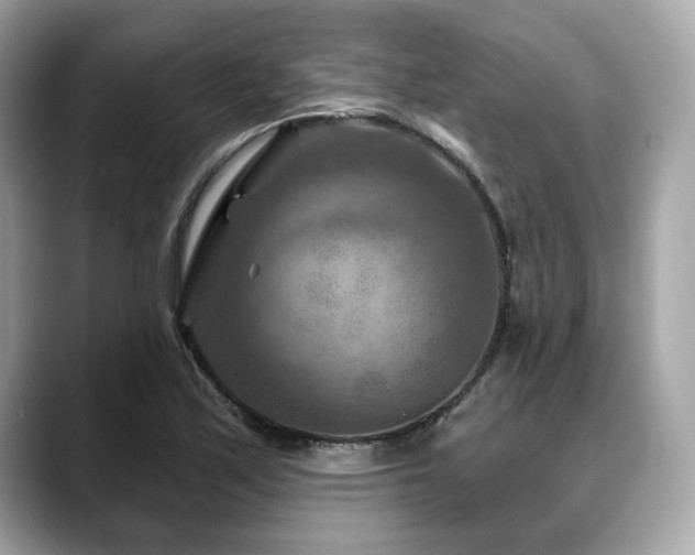 X0000088691171200705311151