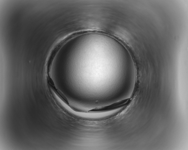 X0000088691172200705311151