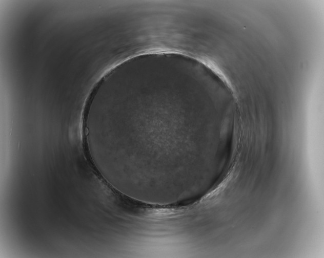 X0000088691173200705311151
