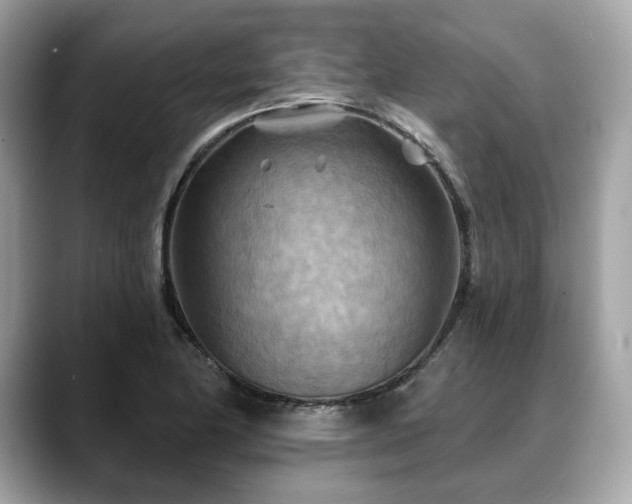 X0000088691174200705311151
