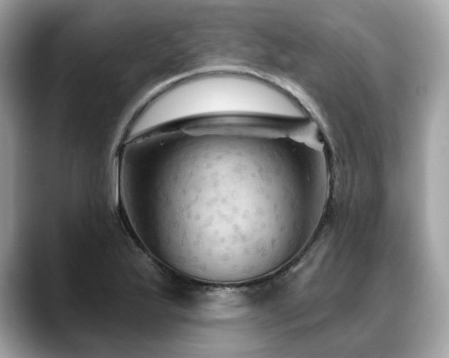 X0000088691175200705311151