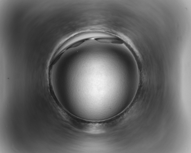 X0000088691176200705311151